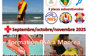 Formation BSA/BNSSA sur Moorea 2025