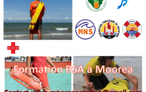 BSA
