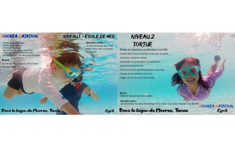 3/6 ans - Niveau 1 et 2 - Natation et aisance dans l'eau